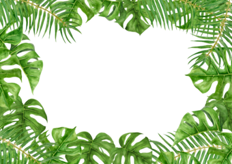 Green Palm and Monstera leaves. Watercolor hand drawn frame of tropical plant for travel guides, cosmetic, spa, massage salon prints, wedding invitations, cards, packing. Jungle liana clip art.