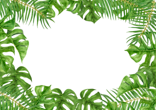 Green Palm and Monstera leaves. Watercolor hand drawn frame of tropical plant for travel guides, cosmetic, spa, massage salon prints, wedding invitations, cards, packing. Jungle liana clip art.