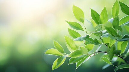 A close-up shot of a natural landscape scene featuring a green leaf against a blurred background with sunlight and bokeh, and natural plants as the backdrop. - obrazy, fototapety, plakaty