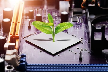 Trees are growing on small circuit board innovations.