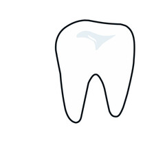 Human teeth