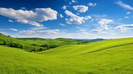 The green hills are a beautiful place to be on a beautiful summer day.