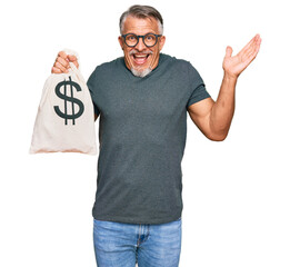 Middle age grey-haired man holding dollars bag celebrating victory with happy smile and winner...