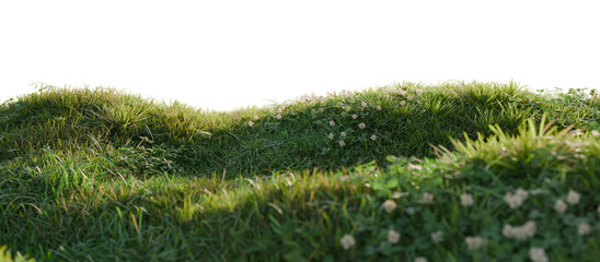 Idyllic Countryside Landscape with Rolling Hills and Wildflowers. 3D render.