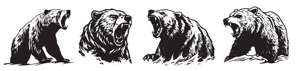 Aggressive grizzly bear ready to attack - obrazy, fototapety, plakaty