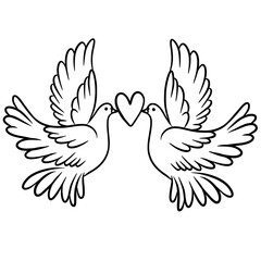 Two dove with heart hand drawn 