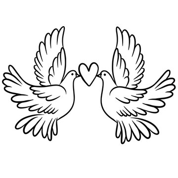 Two dove with heart hand drawn 