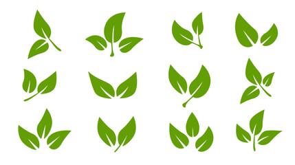 Set of green leaf icons. Leaves of trees and plants. Leaves on white background. Ecology. Vector illustration. - obrazy, fototapety, plakaty
