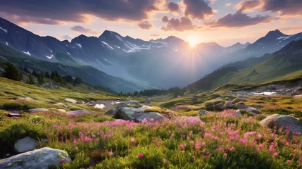 Tuinposter Alpen The scenery of a mountain in summer