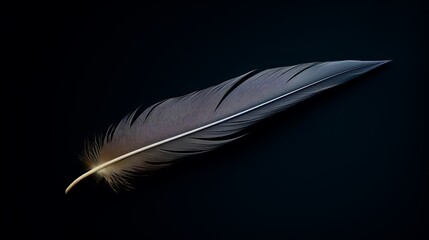 Elegant Black and White Feather on Dark Background in Minimalist Style