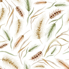 Wheat seamless pattern. Ears of cereal are hand drawn on a white background. Watercolor ornament texture of oat and rye plant stems. Design of wrapping paper and textiles. © Elena