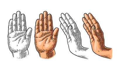 Hand showing stop gesture. Front and side view. Vector color and monochrome vintage engraving illustration isolated on a white background. For web, poster, info graphic. - obrazy, fototapety, plakaty