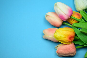 Bunch of spring tulip flower. Spring tulips floral tulip bunch,
Spring flower tulips bouquet isolated on blue color background.
Beautiful colorful tulips, flat lay. Space for text.