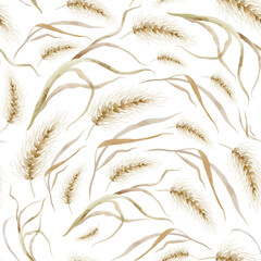 Wheat seamless pattern. Ears of cereal are hand drawn on a white background. Watercolor ornament texture of oat and rye plant stems. Design of wrapping paper and textiles.