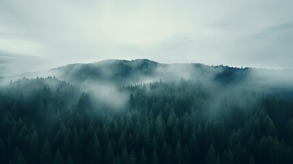 Obraz premium Serene Panorama of Foggy Forested Hills in a Minimal Landscape