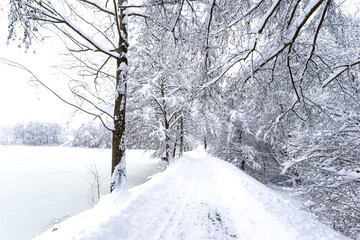 Winter trail shortly after strong snowfall. Europe.
