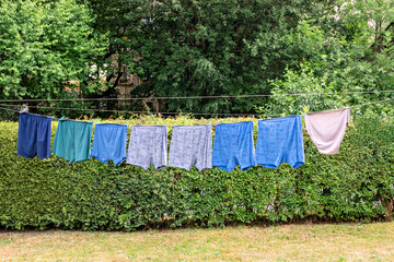 Underwear, underpants hanging on a drying rope in the yard against a background of green bushes on a bright summer day.