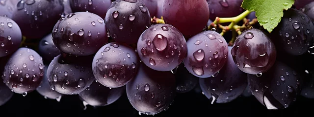 Fotobehang Close-up of berries of dark bunch of grape with water drops. © Anna