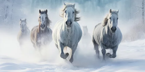 Schilderijen op glas Snowflakes swirl around spirited horses galloping freely across a wintry, untouched landscape. © nur