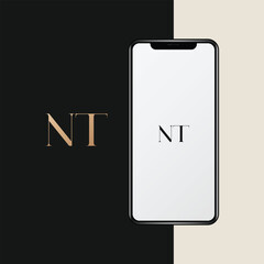 NT logo design vector image