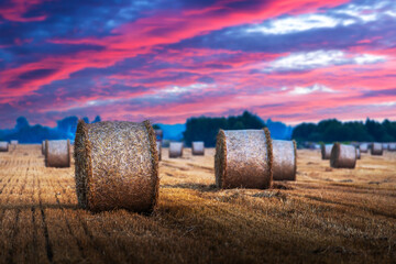 Unreal pink sunset illuminates the rural landscape, showcasing circular hay bales in the field