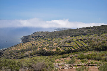 Panoramic view with Mediterranean vegetation and agricultural terraces in Pantelleria island, Italy - 688748357