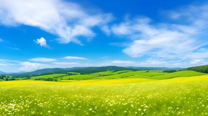 Obraz premium field and blue sky with clouds