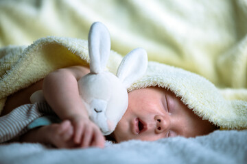 Little newborn boy sleeps with his favorite toy bunny in a cozy warm bed