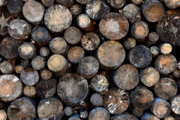 Sawn logs laid against the wall. Firewood for kindling. Sawn pine wood.