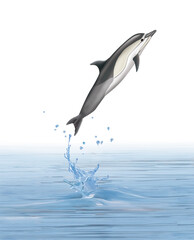 un dauphin  dauphin commun  qui saute d'une eau limpide avec des splashes