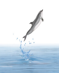 un dauphin  grand dauphin  , qui saute d'une eau limpide avec des splashes
