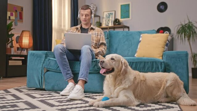 Hardworking freelancer working remotely while sitting on soft couch in home. Young man with headset speaking with client and using laptop. Beside male lying his dog which wants to play with him.