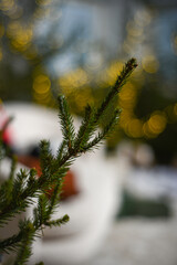 Close-up of green fir tree branch with needles with yellow christmas lights on bokeh background.
