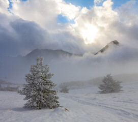 Obraz na płótnie Canvas snowbound misty mountain valley at sunny winter day
