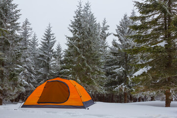 orange touristic tent stay on snowbound fir forest glade, winter travel camp scene