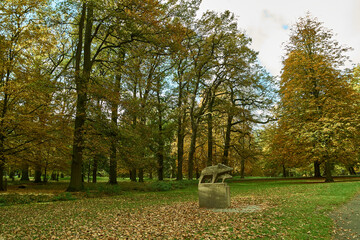 Obraz premium Bäume im Herbst , Tiergarten Hannover