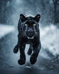 Rolgordijnen panther running towards the camera in snowfall   © abu