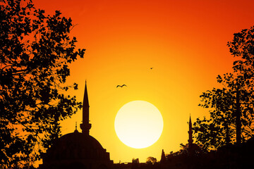 silhouettes of the mosque minarets and treetops at sunset. Istanbul. Turkey.