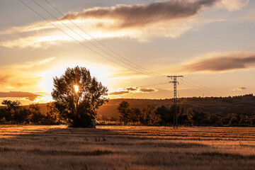 Golden Hour Over Rural Landscape with Power Lines