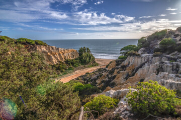 Fototapeta na wymiar El Arenosillo beach is characterized by being a virgin beach of fine, golden sand. Its cliffs make it unique. Pure nature, full of pine trees and native vegetation. One of the best beaches in Spain.