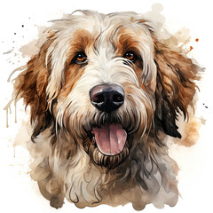 watercolor Labradoodle clipart, Generative Ai