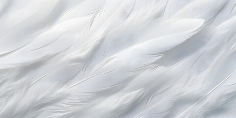 Close up abstract white feather background