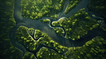  aerial view of a river flowing in middle of a forest, © ArtCookStudio