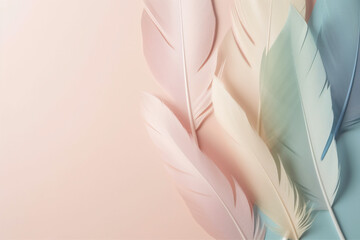 Fototapeta na wymiar Pastel color feather abstract background