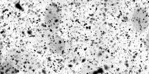 Abstract wall terrazzo texture of stone wall or concrete surface, grainy old and dusty grunge texture, black and white background with floating particles, black sandstone texture with dust and rust.