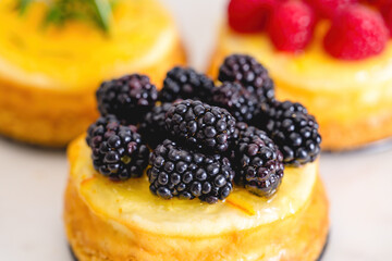 Mini cheesecake with blackberries close-up. Homemade delicious dessert, breakfast, sweet holiday treat