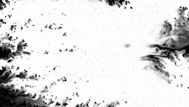 Black ink rorschach effect abstract background artistic flow splatter spots spills white paper beautiful reveal dripping streaks spread fluid ink alpha matte isolated watercolor ink drops transition