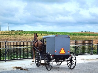 amish horse and carriage