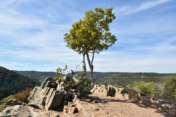 Monfrag&uuml;e Nationalpark