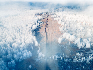 White frost-covered trees in winter forest at foggy sunrise. Aerial view. Winter landscape